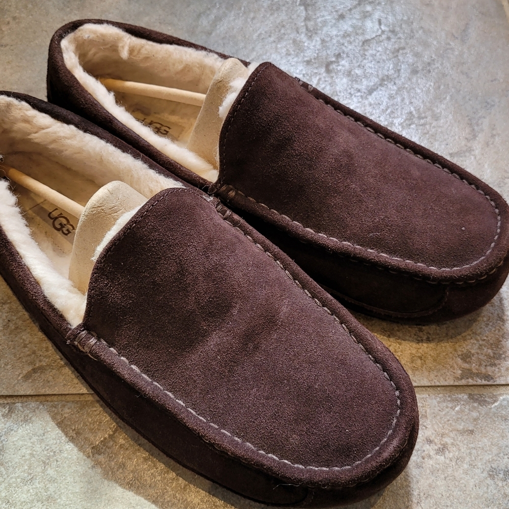 UGG Ascot Mens Slippers